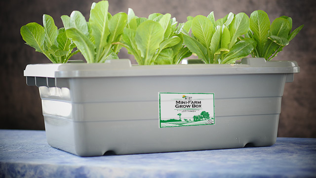 Mini-Farm Grow Box